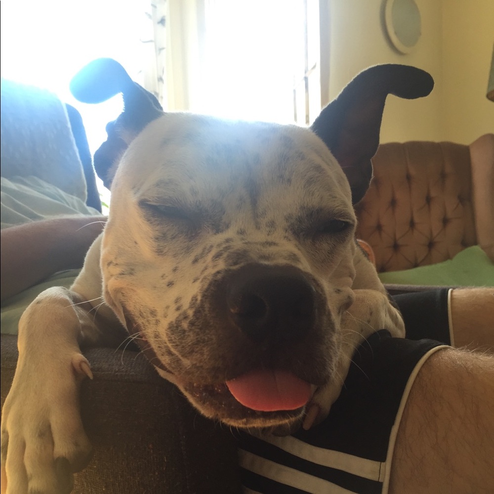 Meet your Posher, Grace